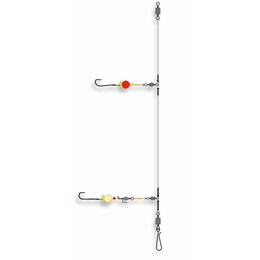 DEGA-Englisches-Vorfach